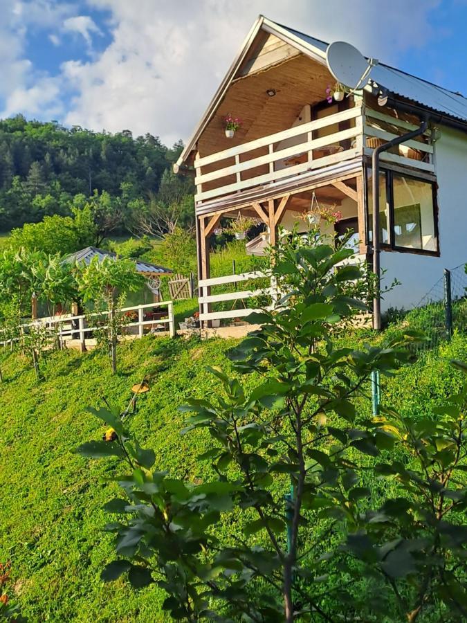 Natural House Visoko